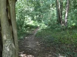 Pause Nature N