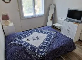 Chambre cosy avec salle-de-bain privative