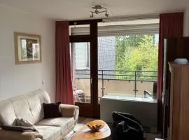 Francis Appartement am Mountainbike-Park