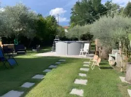L'olivo