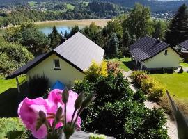 Arkadia Dom nad Jeziorem Solińskim, Hotel in Wołkowyja
