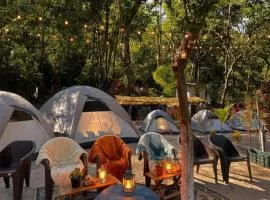 Rapsyngkremcampsite