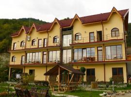 Pensiunea Delfinul, hotel di Văleni