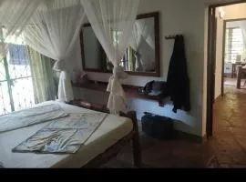 Sonie house