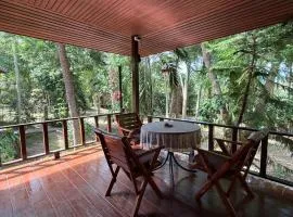 Zen Forest