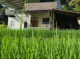 Yut Homestay