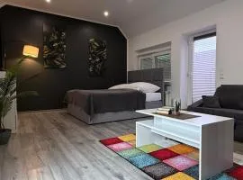 Geräumige Einzimmerwohnung in Quakenbrück