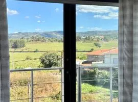 Horizonte da Vinha