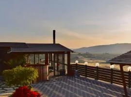 Four seasons view