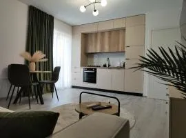 Irina's Apartment