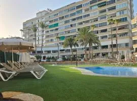 Loft Koka Alto