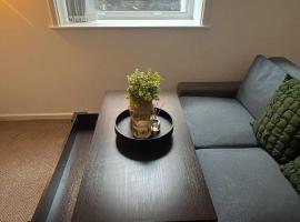Chic & Comfy 1 Bed Apartment Sheffield Stay，位于Midland的宠物友好酒店