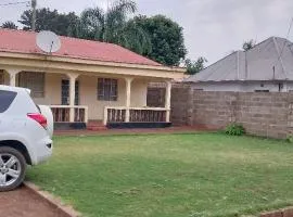 Dolly Homes