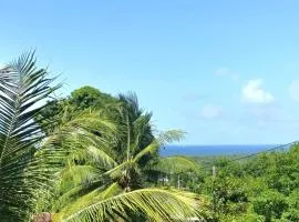 Les Alizées - Pleasant & Sea View