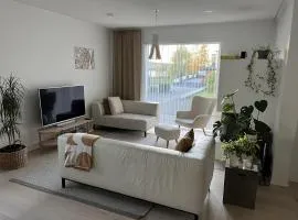 Snow-White Villa at Rovaniemi