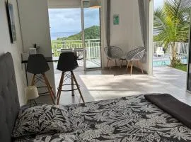EDEN-RÉSIDENCE Le ARUBA Vue Mer et Piscine