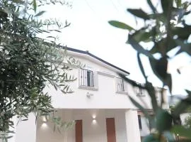Twins House