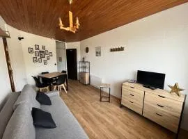 appartement cocooning ski au pied