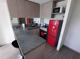 Edificio Stepke lado Hospital Regional, iseteenindusega majutus sihtkohas Temuco