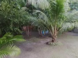 Família Marcon