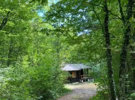 Refuge Nature - Chalet avec Terrasse vue forêt