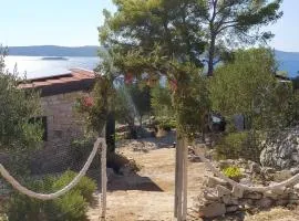 Secluded family friendly house Milna, Brac - 12229