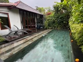 Badra House Hibiscus