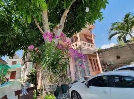 San Vuon Guesthouse
