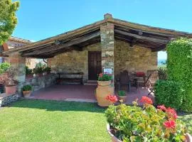 Farmhouse in Tuscany with Olive Grove Views