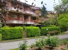 Appartamento Dellea