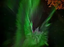 Romslig ferieleilighet nær sjøen Medby Senja