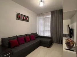 Modern Apartment in Chișinău Testimetianu