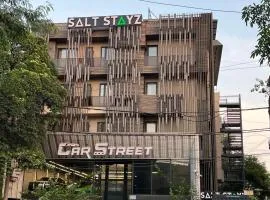 Saltstayz Premier - Naraina, Central Delhi