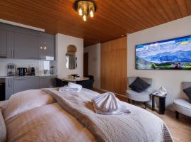 Luxe Davos Studio Central Walk to Lifts, hotel in Davos