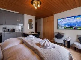 Luxe Davos Studio Central Walk to Lifts