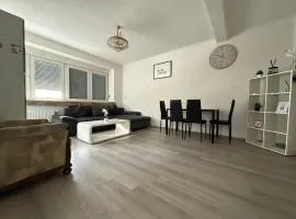 Schöne 2 Zimmer Appartment mit Bad und Küche Self- Check-in