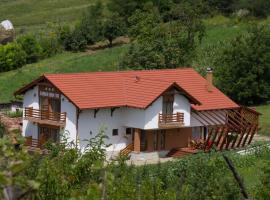 Pensiunea Casa din Vii, hotel v destinaci Şeuşa