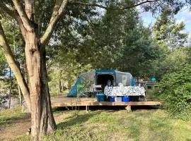 Gaia River Wooden deck campsite
