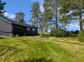 Soltoppen - cozy 3 bedroom cabin close to Norefjell