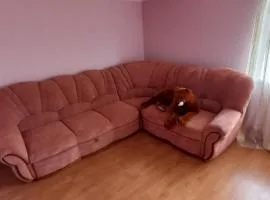 Кімната з диваном