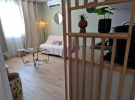 Appartement Ajaccio Climatisé 4 Personnes parking gratuit