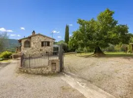 Oliveto Del Cantarello