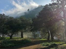 Harrison Serenity Ranch Bunk House, hotel in Palomar Mountain