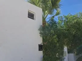 Casa de Férias Palmeira