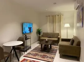 شقة فاخرة غرفة ماستر وصالة مريحة