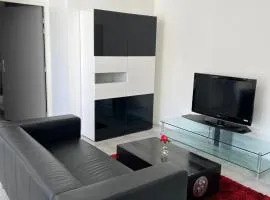Studio 40M2 en plein cœur de saint Estèphe