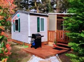 Mobil-home