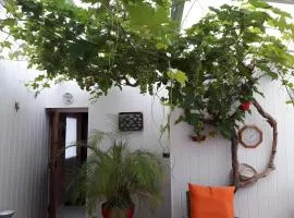 Chambre D'hôtes