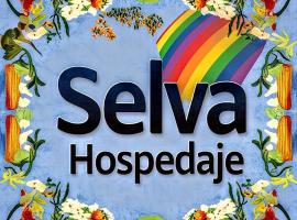 Selva Hospedaje, hostel in Valparaíso