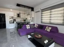 Modern apartment